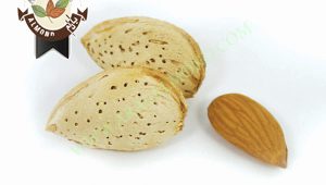 خرید بادام سفید درجه یک