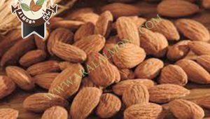 فروش بادام مامایی ارزان قیمت