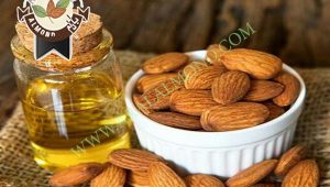 فروش مغز بادام شیرین چرب برای روغن