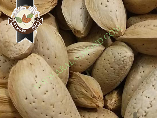 فروش اینترنتی مغز بادام ربیع