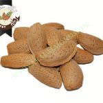 خرید بادام ربیع به صورت عمده