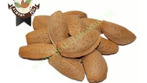 خرید بادام ربیع به صورت عمده