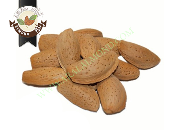 خرید بادام ربیع به صورت عمده