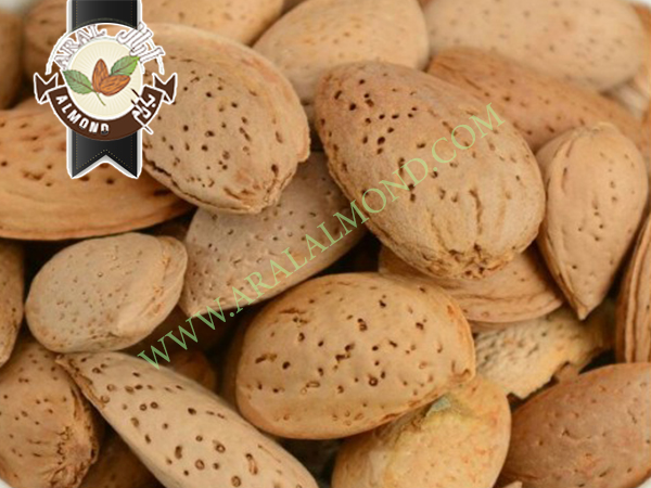 خرید بادام سنگی با قیمت مناسب