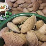 صادرات کلی بادام شاهرودی