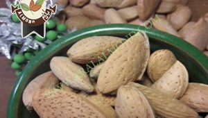 صادرات کلی بادام شاهرودی