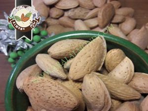 صادرات کلی بادام شاهرودی