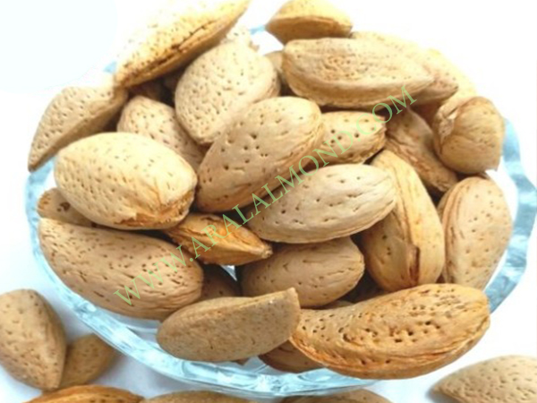 قیمت مغز بادام شاهرودی به صورت عمده