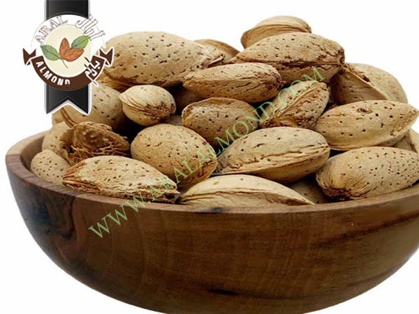 خرید بادام پوست کاغذی جهت صادرات