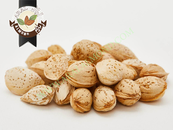 خرید بادام پوست کاغذی جهت صادرات