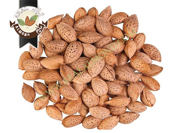 خرید بادام پوست کاغذی جهت صادرات