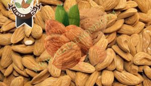 سفارش بادام مامایی ایران