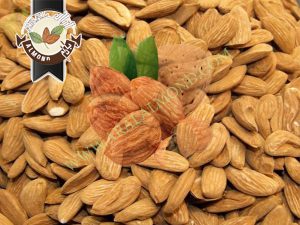 سفارش بادام مامایی ایران
