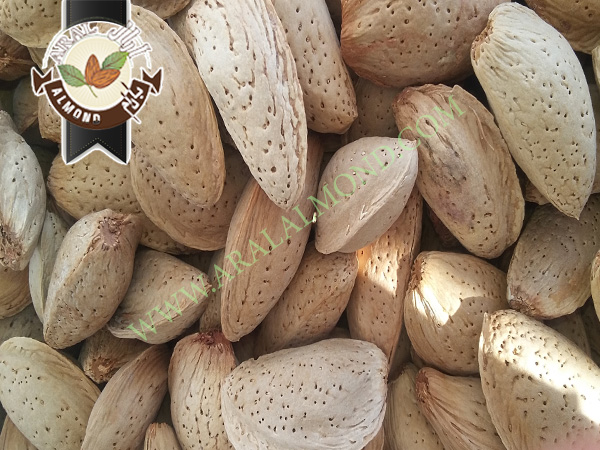 سفارش بادام مامایی ایران