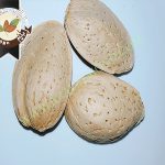 خرید بادام سنگی به صورت اینترنتی