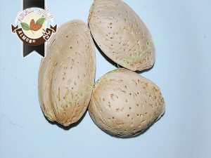 خرید بادام سنگی به صورت اینترنتی