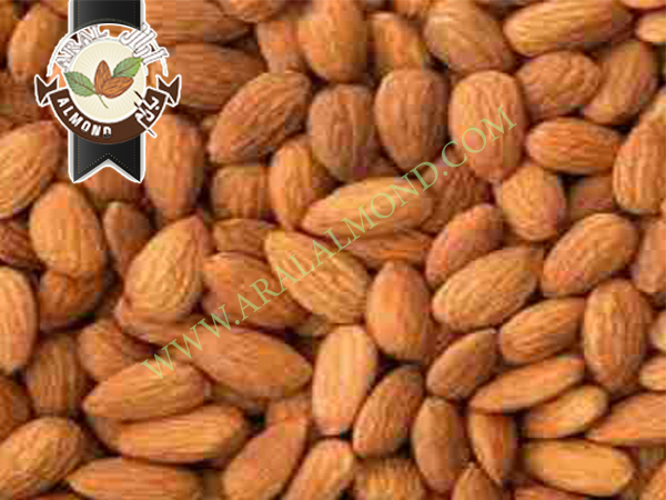 خرید بادام شاهرودی در ایران
