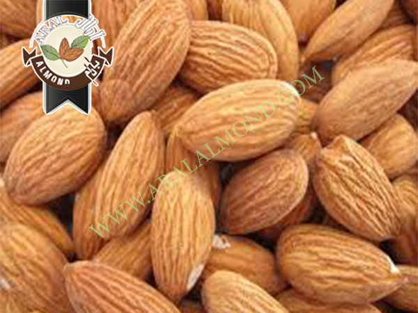 قیمت فروش انواع بادام ایرانی