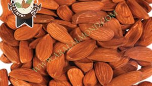 خرید مغز بادام مامایی سامان