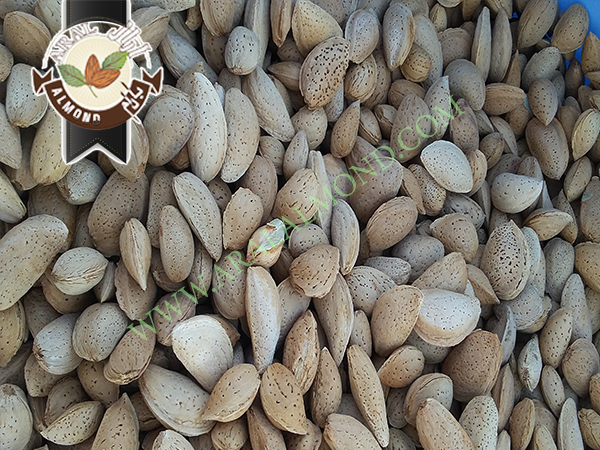 خرید بادام سنگی به صورت اینترنتی