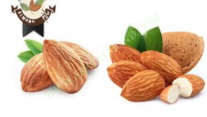 قیمت انواع بادام در ایران