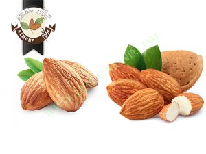 قیمت انواع بادام در ایران