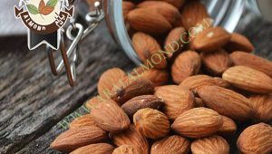 خرید انواع بادام در ایران