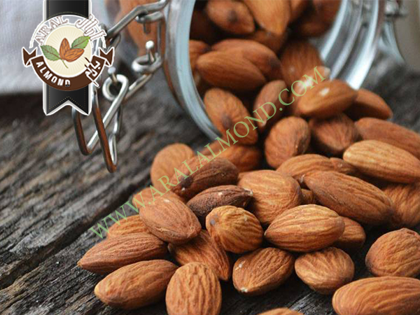 خرید انواع بادام در ایران