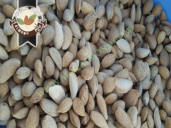 خرید بادام سنگی به صورت اینترنتی