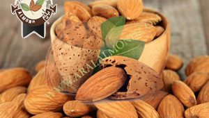 صادرات مغز بادام مامایی به هند