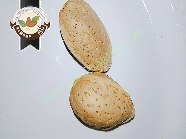 خرید بادام سنگی به صورت اینترنتی