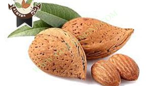 بازار خرید و فروش بادام مامایی سامان