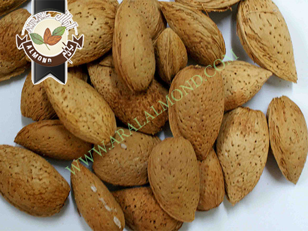 خرید و فروش بادام سفید با کیفیت