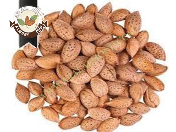 خرید بادام صادراتی سامان