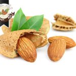 قیمت انواع مغز بادام درجه یک سامان
