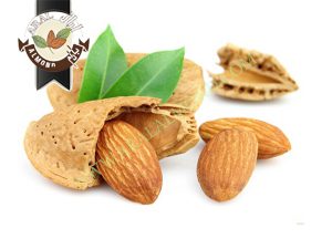 قیمت انواع مغز بادام درجه یک سامان