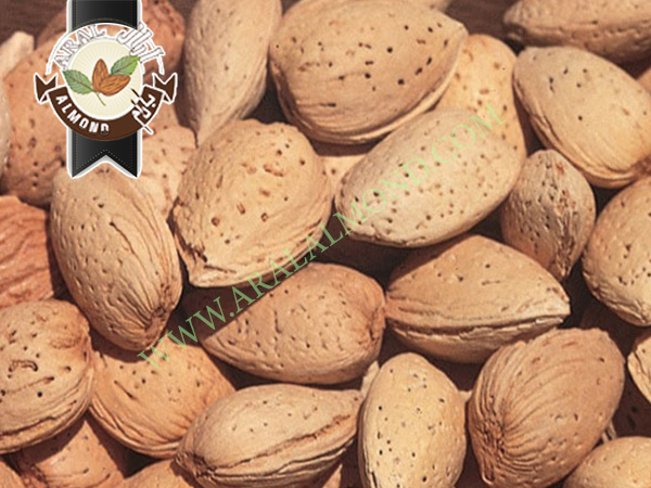 خرید مغز بادام سنگی با کیفیت بالا و قیمت مناسب