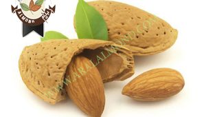 فروش بادام سنگی درجه یک