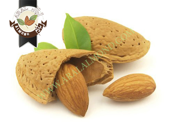 فروش بادام سنگی درجه یک