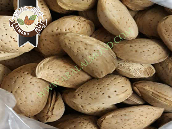 فروش بادام سنگی درجه یک