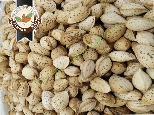 سفارش بادام پوست کاغذی سامان و بن