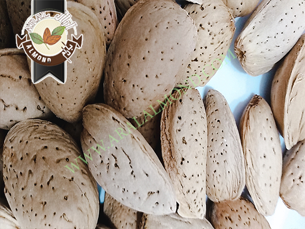 بازار بادام درختی با کیفیت ایرانی