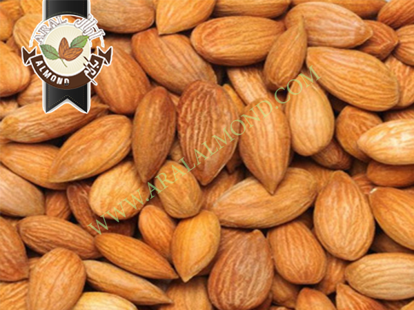 بازار مغز بادام چهار محال و بختیاری