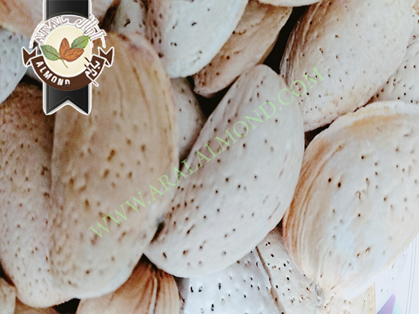 خرید و فروش بادام سنگی درجه یک