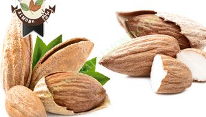 سفارش بادام پوست کاغذی با کیفیت