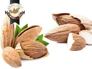 سفارش بادام پوست کاغذی با کیفیت