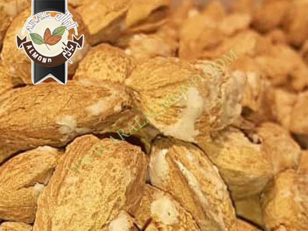 قیمت خرید بادام درختی استان چهار محال و بختیاری