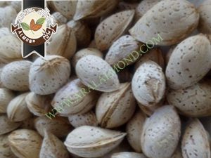 فروش و صادرات بادام مامایی مرغوب اصفهان