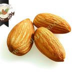 خرید و فروش انواع بادام در ایران