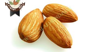 خرید و فروش انواع بادام در ایران